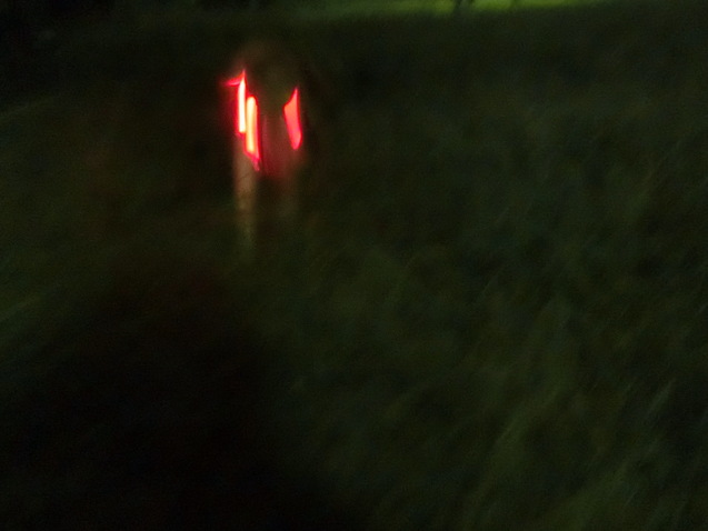 a0319693_9332740.jpg