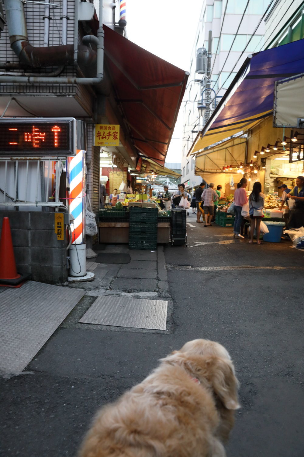 b0275998_08185115.jpg