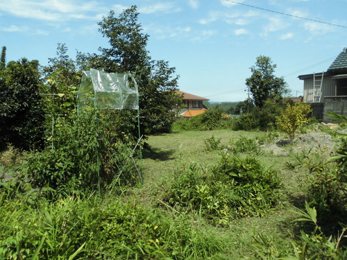 c0108198_1714847.jpg