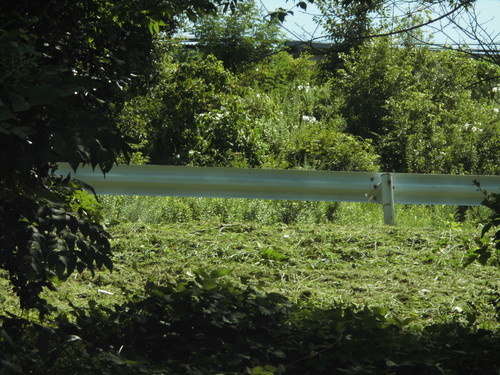 c0108198_172219.jpg