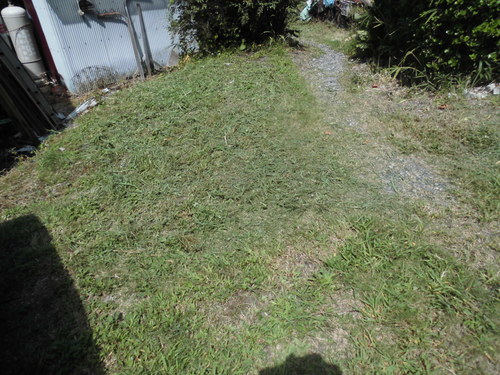 c0108198_1722927.jpg