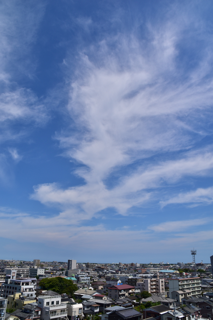 c0049299_20185821.jpg