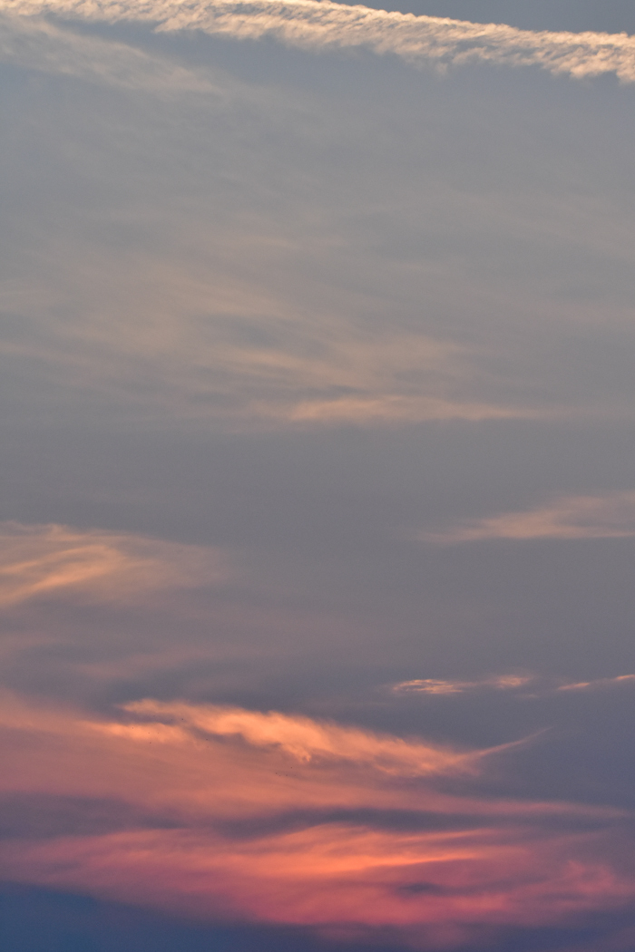 c0049299_20242068.jpg