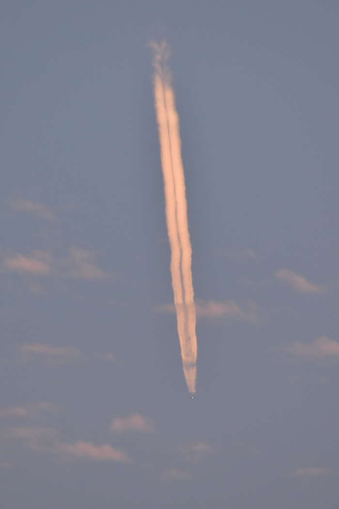 c0049299_20251300.jpg