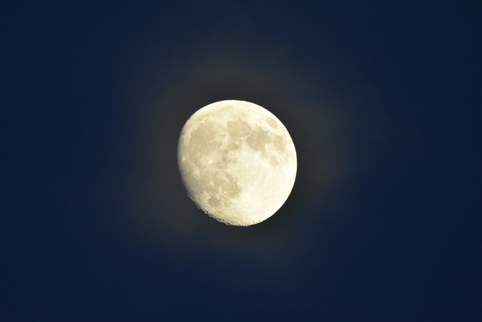 c0049299_20254317.jpg
