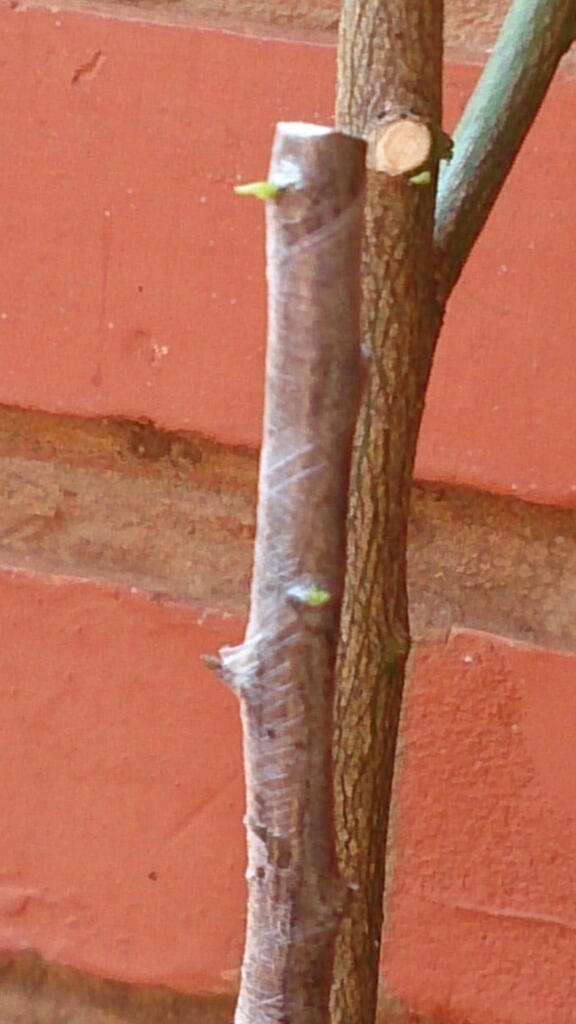 f0225800_03113884.jpg