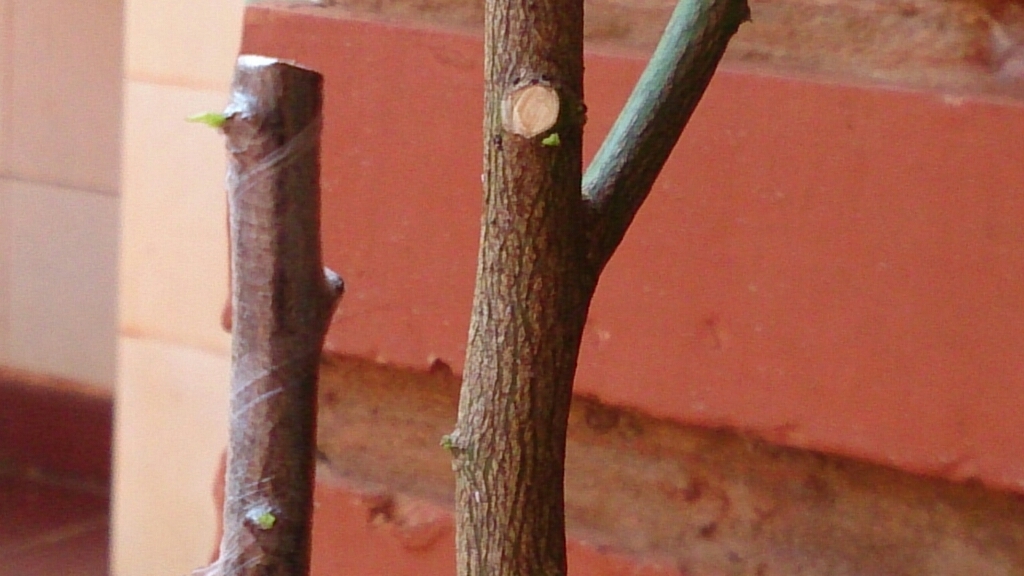 f0225800_03114621.jpg