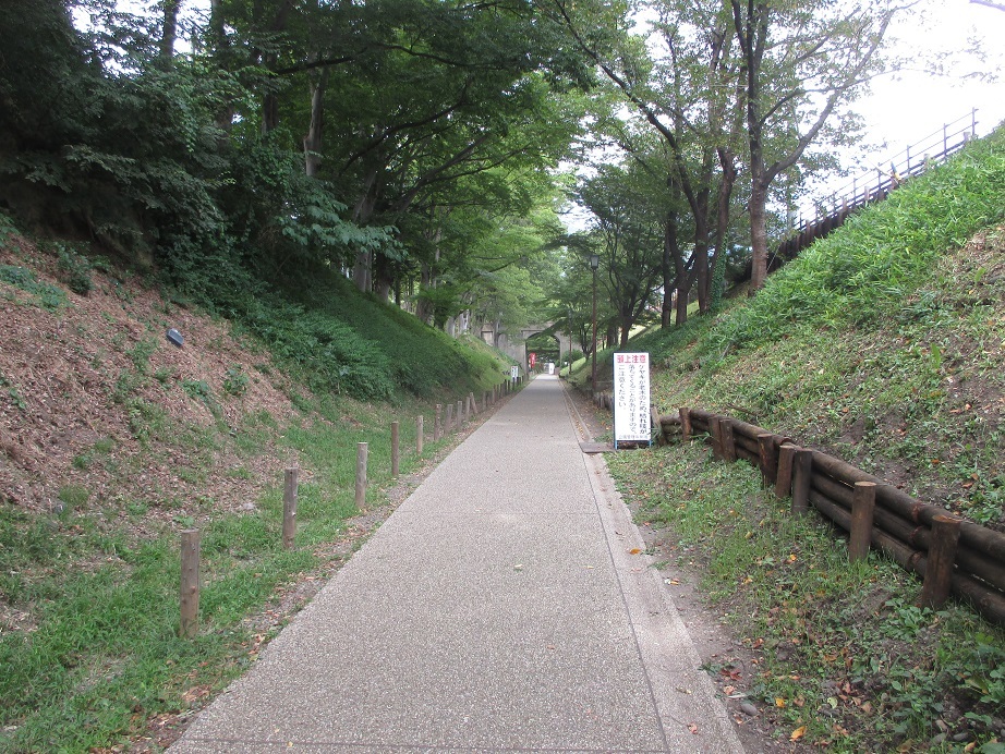 e0242504_23153388.jpg