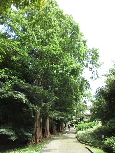 e0245404_15122568.jpg