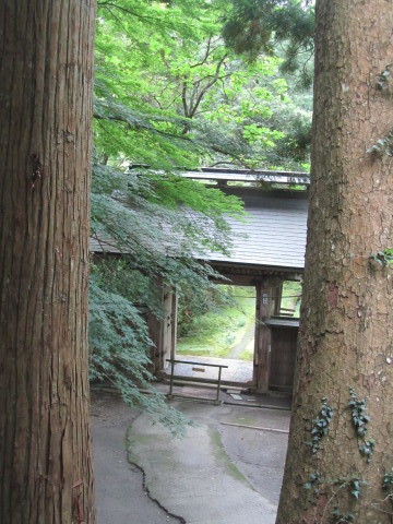 b0039007_14375846.jpg