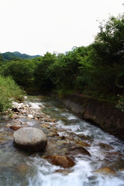 e0174008_17250836.jpg