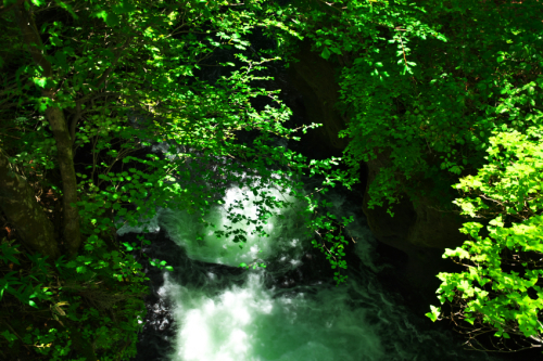 a0263109_10380839.jpg