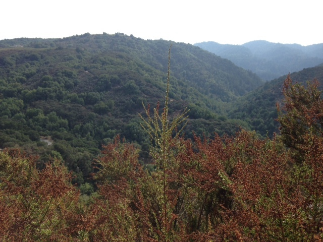 a0331910_11494082.jpg