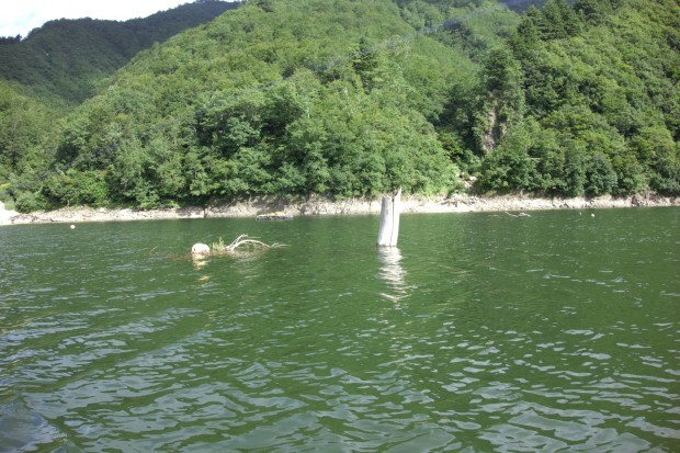 c0232813_00002741.jpg