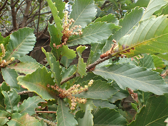 c0177135_22402812.jpg