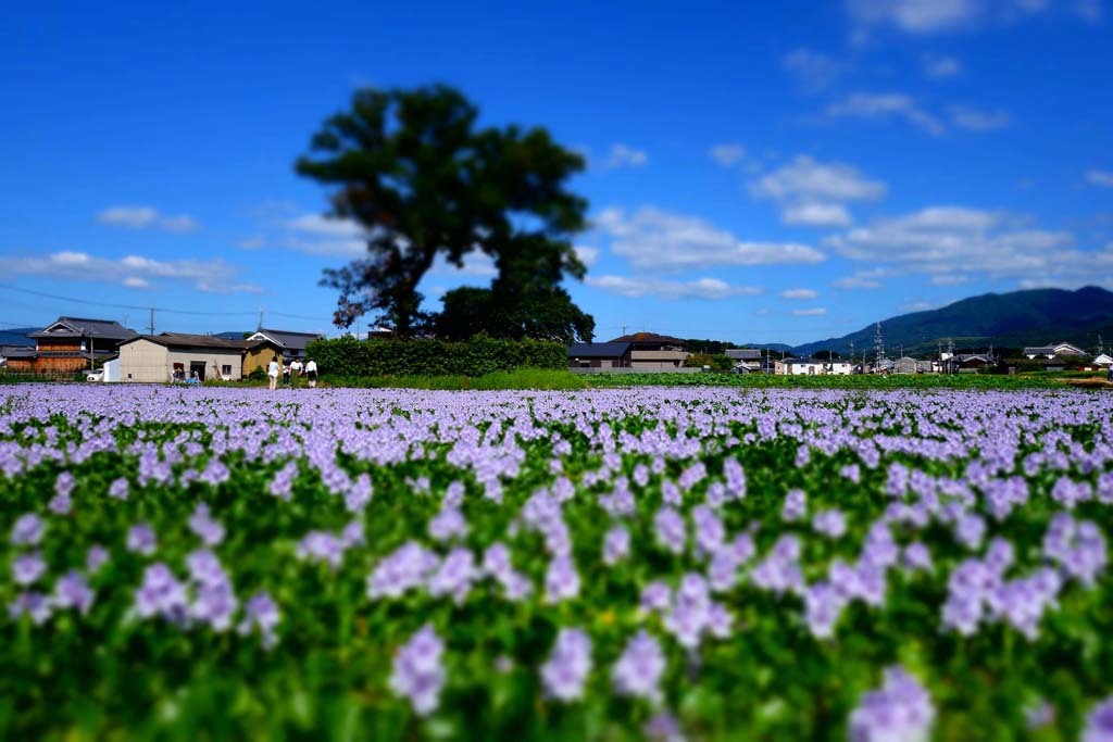 d0250840_23493595.jpg