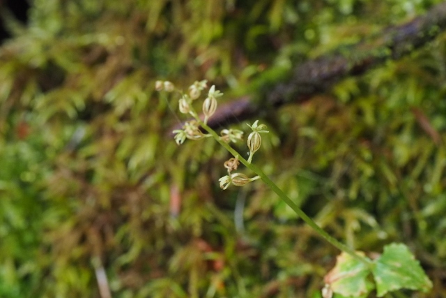b0189948_222287.jpg
