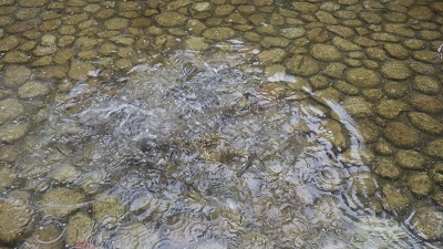 a0166454_16223839.jpg