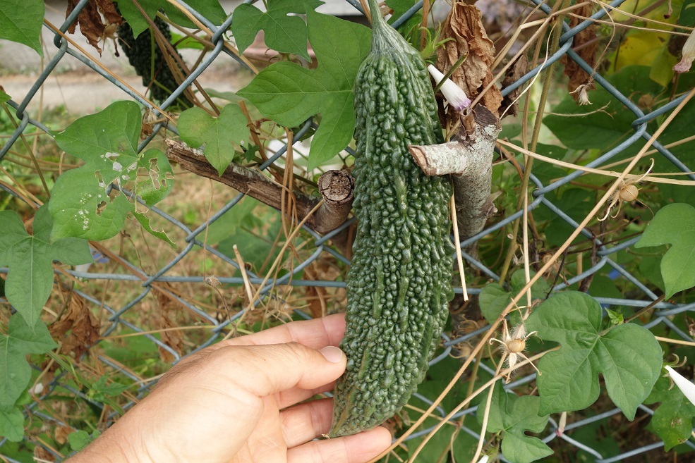 c0236857_07231730.jpg