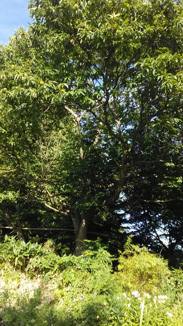 b0311459_2113913.jpg