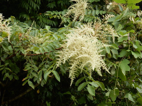 f0060461_10564685.jpg