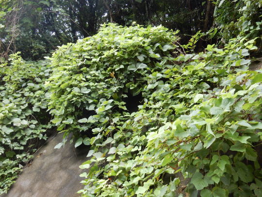 f0060461_10590561.jpg