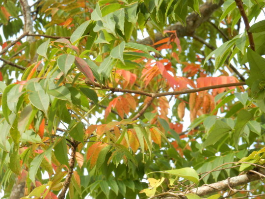 f0060461_11041493.jpg
