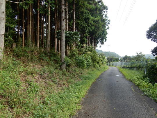 f0060461_11093363.jpg