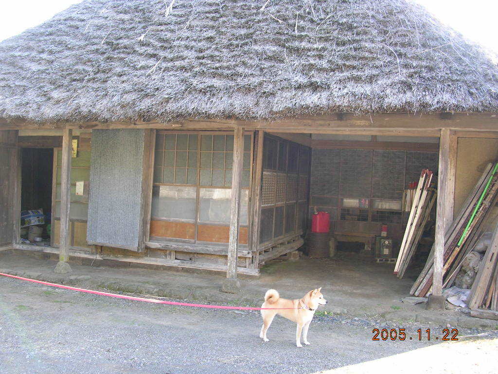 f0060461_11205425.jpg