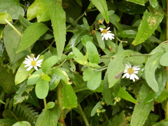 f0060461_11224144.jpg