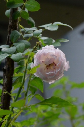 c0186463_15074002.jpg