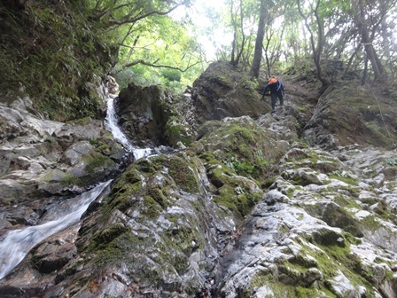 c0303868_05461838.jpg