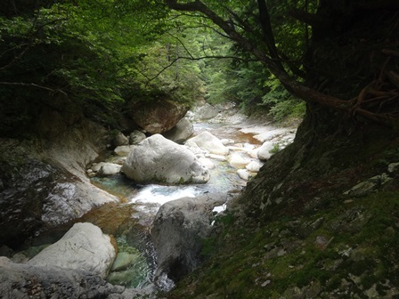 c0303868_05560937.jpg