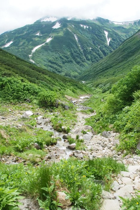 e0307372_21181282.jpg