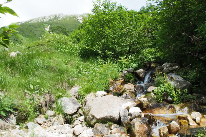 e0307372_21432125.jpg