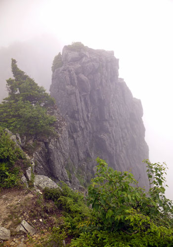 d0126573_1640352.jpg