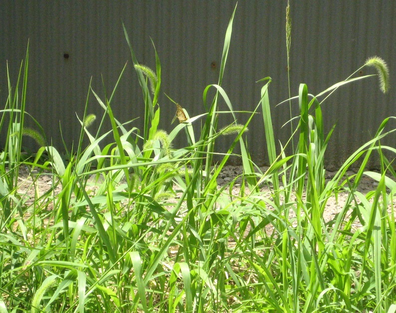 b0057679_08524702.jpg