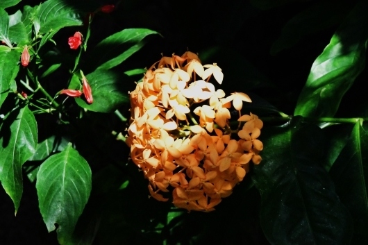 b0329186_07071957.jpg