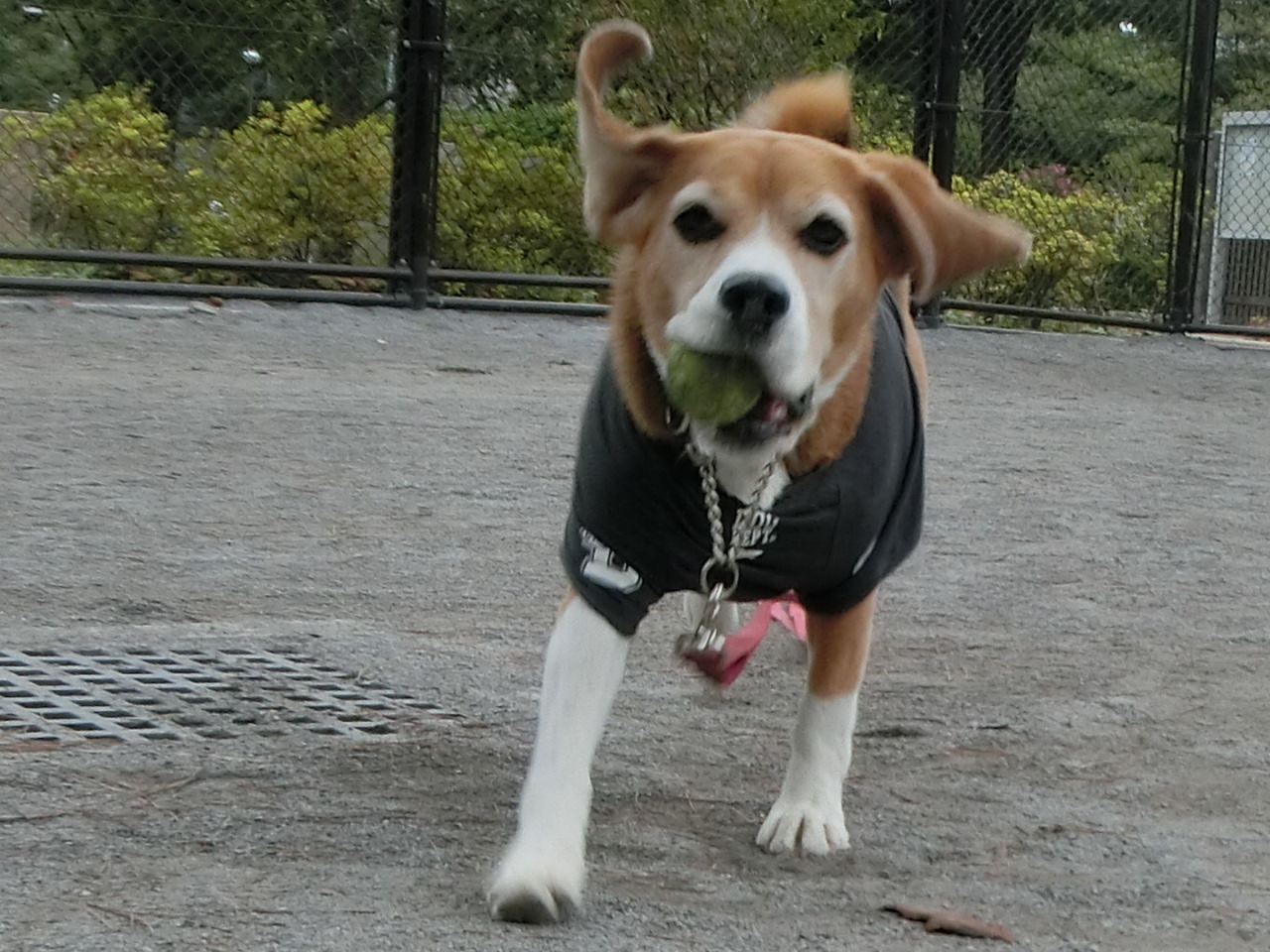 a0319693_8275860.jpg