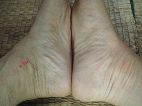 c0108198_16124734.jpg