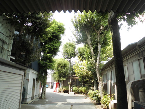 c0108198_1661274.jpg