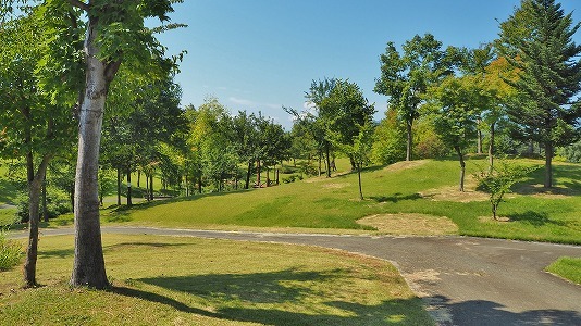 c0336902_11324259.jpg