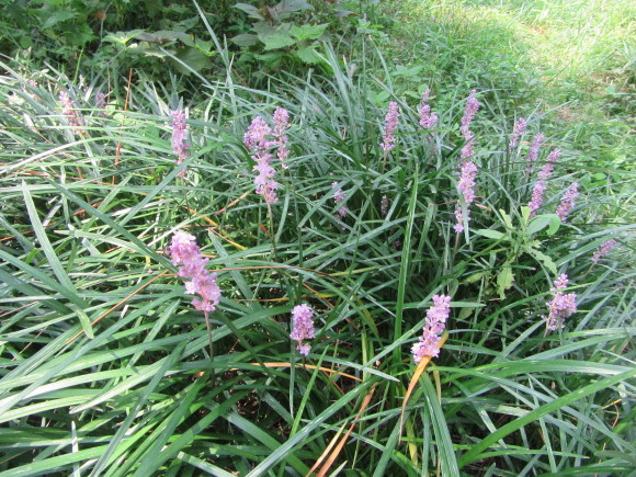 f0231709_11501743.jpg