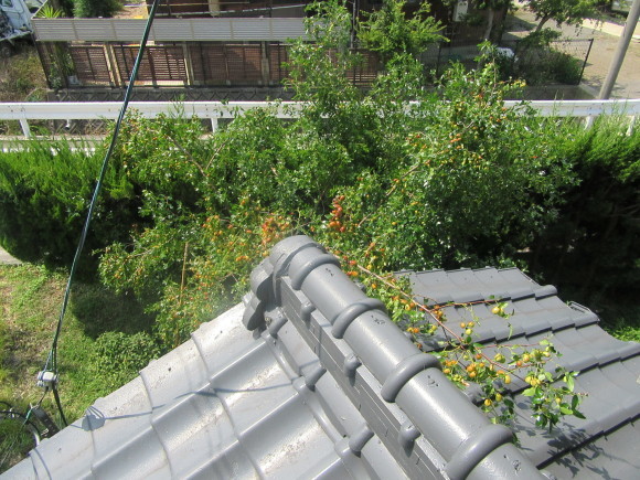 f0231709_12584434.jpg