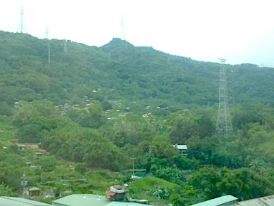 a0019212_12205638.jpg