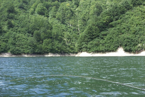 c0232813_22233532.jpg