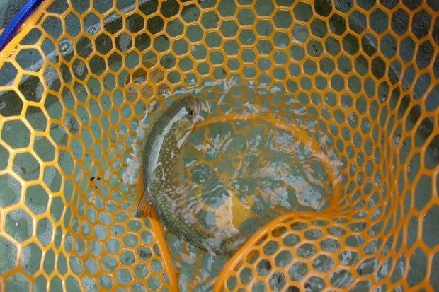c0232813_22294460.jpg