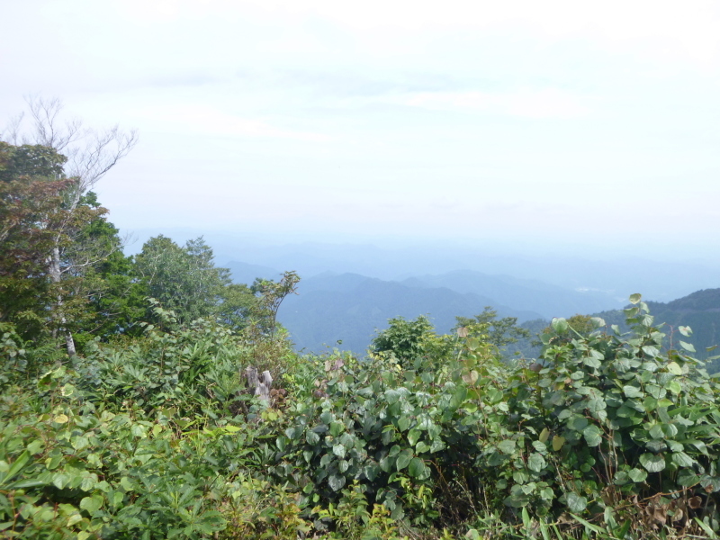 d0170615_18370130.jpg
