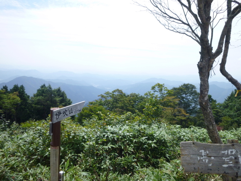 d0170615_18371468.jpg