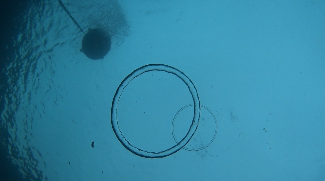d0070216_17315643.jpg